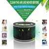 Flintar FLT4200 H13 True HEPA Replacement L Filter, Compatible with