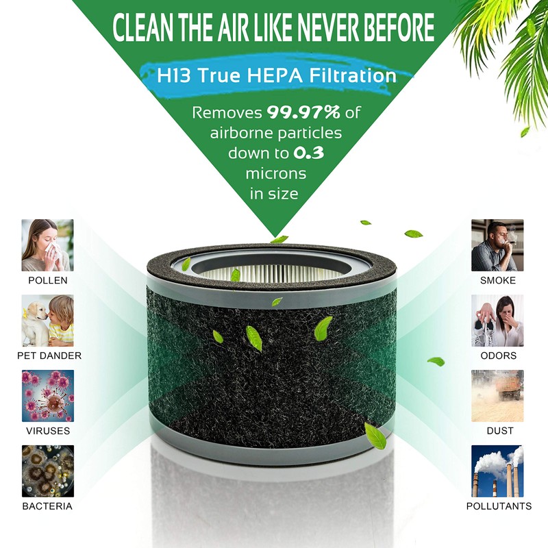 Flintar FLT4200 H13 True HEPA Replacement L Filter, Compatible with
