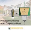 Best Bee Brothers Bee-Licious Bee Bait, All-Natural Carpenter Bee Lure,