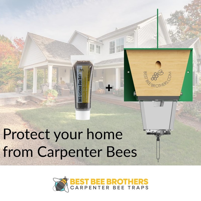 Best Bee Brothers Bee-Licious Bee Bait, All-Natural Carpenter Bee Lure,