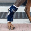 Balto Hock Brace – Dog Brace with Aluminum Splints –
