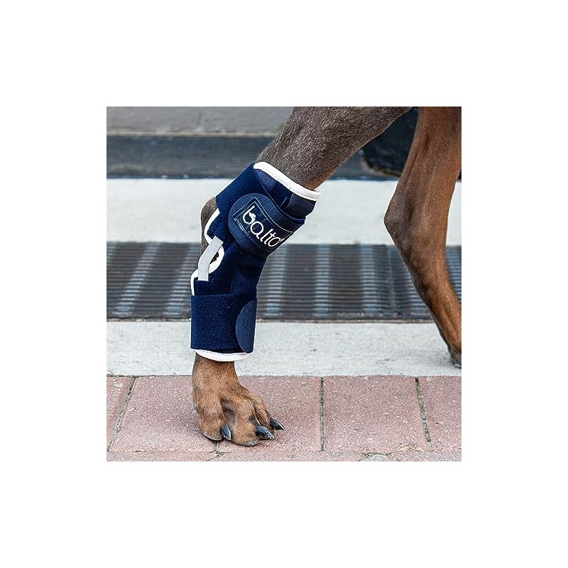 Balto Hock Brace – Dog Brace with Aluminum Splints –