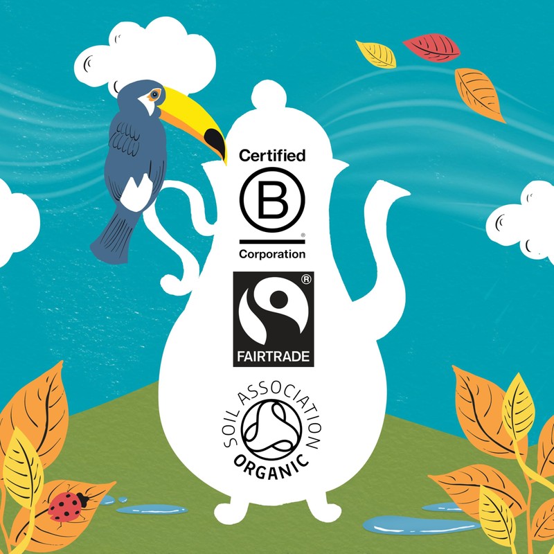 Clipper Coffee: Organic Latin American Instant Coffee – Medium Roast