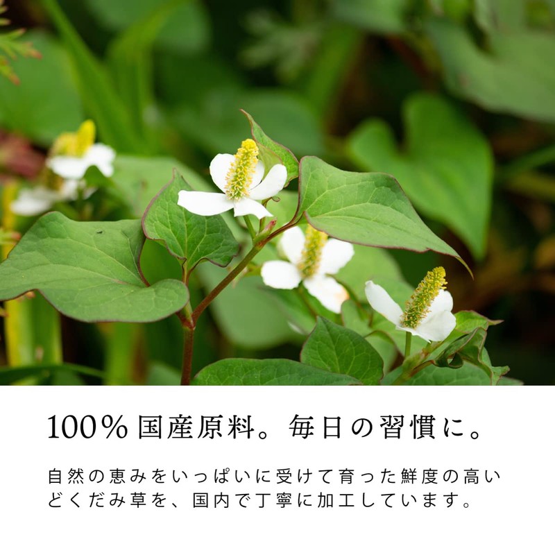 Tea Tsumi no Sato Domestic Dokudami Tea Bag 0.1 oz