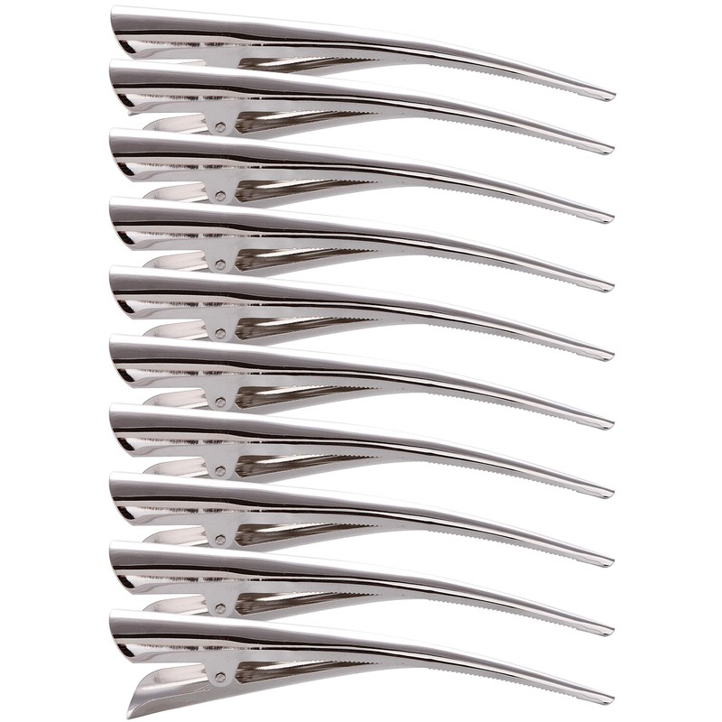 LONEEDY 10 unidades de clips de pelo de pico de