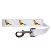 'Sun Conure Bird' Dog Lead/Leash (DL00007762)