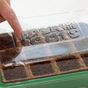 Back to the Roots 12-Cell Greenhouse Germination Kit | includes