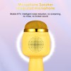 Wireless BT Microphone Portable Handheld Mic Variable Sound Function Built-in