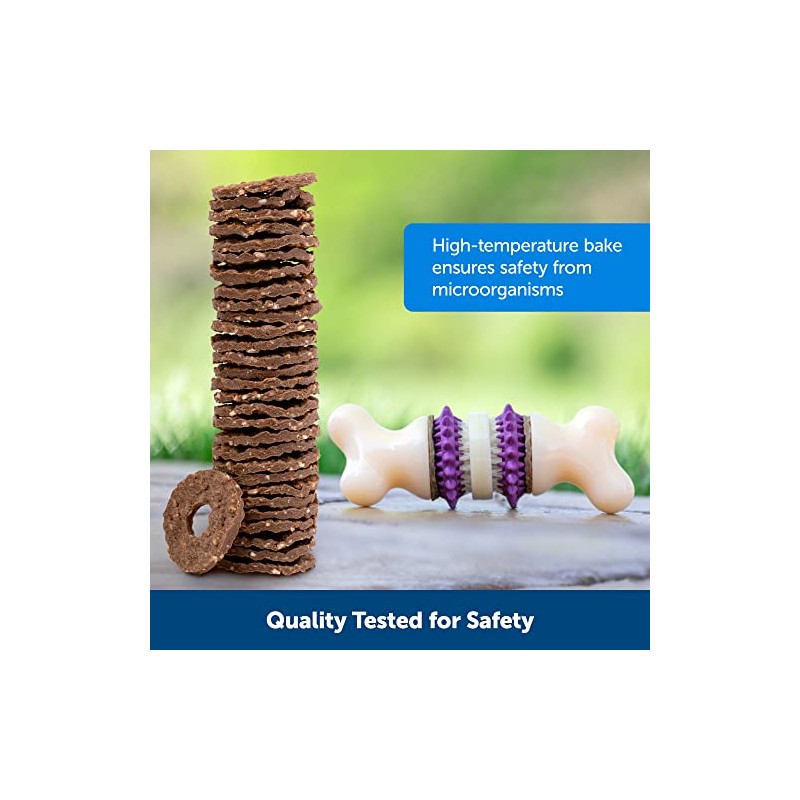 PetSafe Busy Buddy Variety Pack Treat Refill Rings, Size B