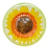 Songbird Essentials Sunflower Hanging Bird Bath, 13 Inch Colorful Glass