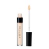 Brilliage Designer Concealer (Chiaki Shimada Produce Brand)
