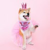 AWOCAN Dog Birthday Bandana Dog Tutu Tulle Tutu Skirt Outfit,Happy