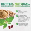 Ashwagandha Gummies for Women & Men, 3000mg Equivalent, Vegan, Plant