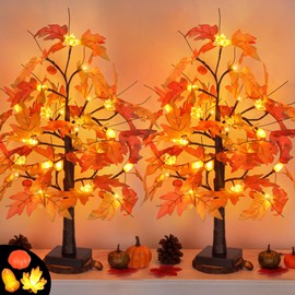 2 Pack 24 Inch Fall Maple Tree with 48LED Battery Operated Lighted Tabletop Artificial Tree with Pumpkin Acorn Maple Fall Centerpieces Indoor Fall Decorations for Home Office Thanksgiving Table Decor