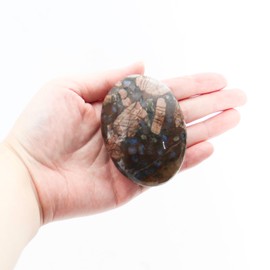 Amphibolite Stone Worry Stone – 1 Piece Amphibolite Crystal Stone Natural Gemstones, Soap Stone, Smooth Healing Crystal, Worry Stone