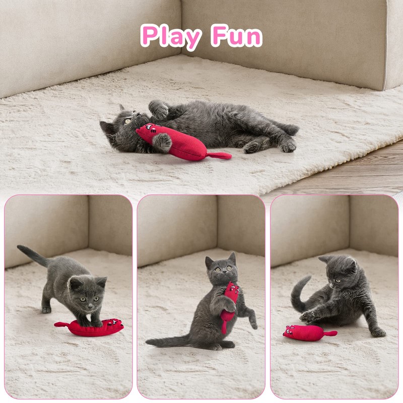 Legendog 5Pcs Bite Resistant Catnip Toy for Cats,Catnip Filled Cartoon