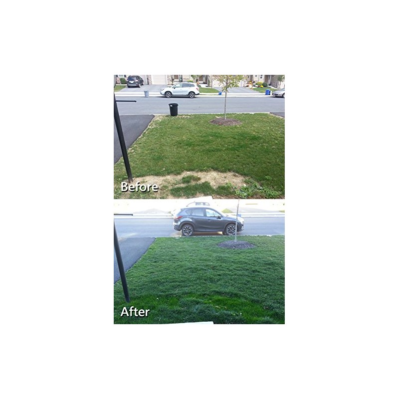 Natural Alternative Small Lawn Fertilizer Bundle Deal (3)