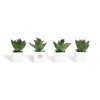 U Brands Succulent Magnets, 12 Count