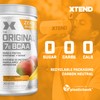Scivation XTEND Original BCAA Powder - Sugar-Free Muscle Recovery with