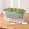 AIMALL Self-Watering Square Planter for Indoor Gardening, Balcony Vegetable Pot