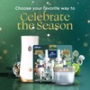 Glade PlugIns Refills Air Freshener, Balsam & Spruce and Bergamot
