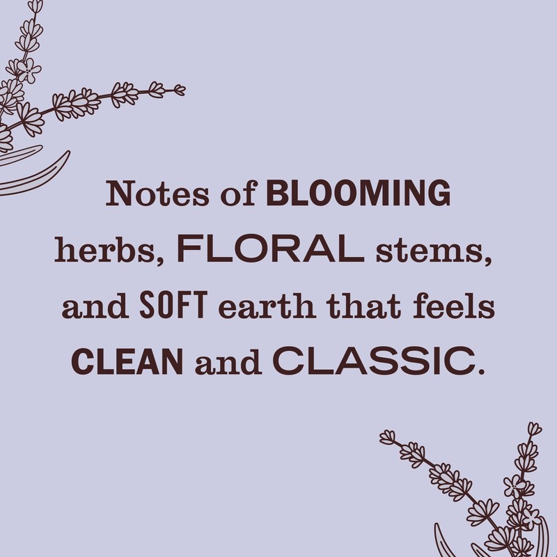 MRS. MEYER'S CLEAN DAY Premium Scented Oil Diffuser Kit, Lavender,