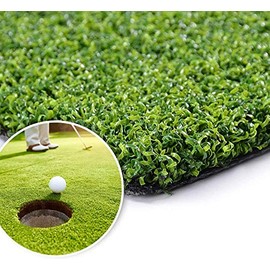 LITA Golf Putting Green, Golf Hitting Mat- 2FT x 19FT,Golf Training Mat- Professional Golf Practice Mat