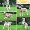 LIOPARD Dog Harness, Easy Walk Pet Harness No Pull with