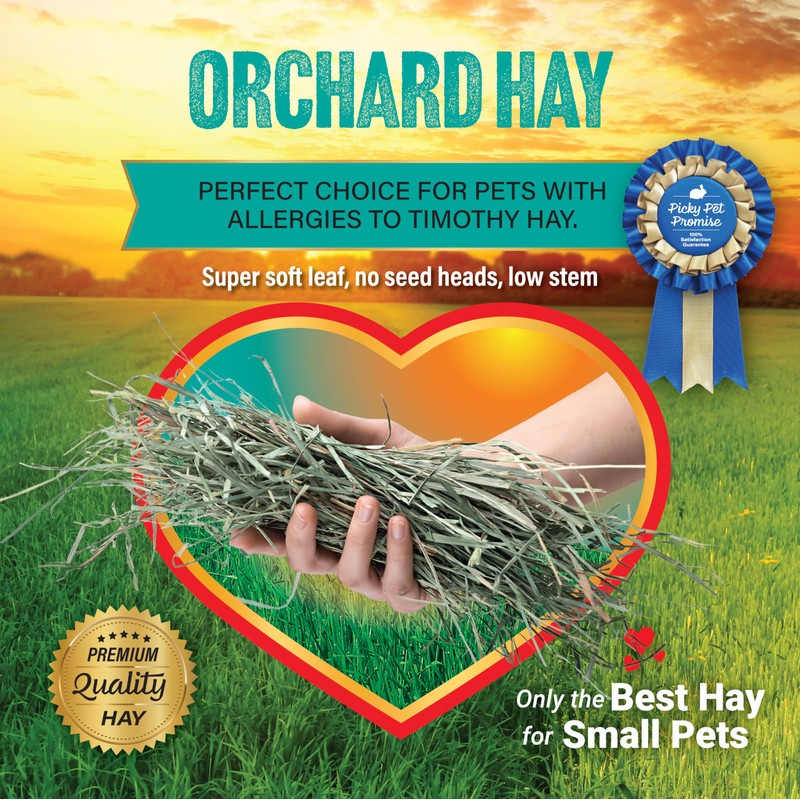Small Pet Select Orchard Grass Hay Pet Food for Rabbits,