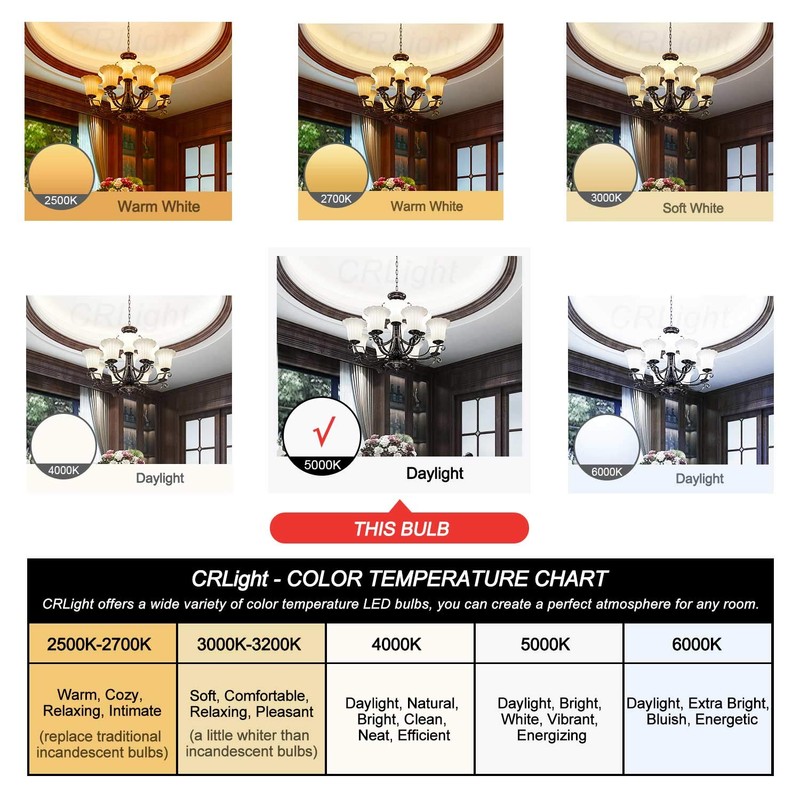 CRLight 12W Dimmable LED Large Globe Bulb 5000K Daylight White