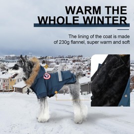 PINA Dog Coats for Small Dogs, Waterproof, Windproof, Hooded, Leash Hole, Navy Blue, L(Chest 16.5"-18.1"), Adult, Winter