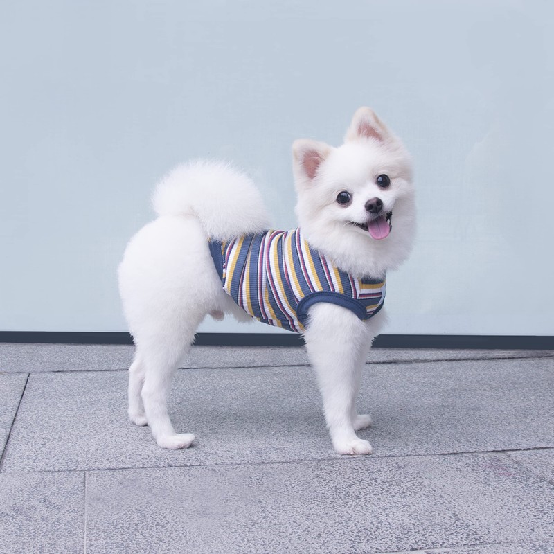 SZAT PRO Striped Teacup Pet Dog T-Shirts, 100% Cotton Tank