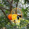 Forup Oriole - Comedero para pájaros al aire libre, jalea