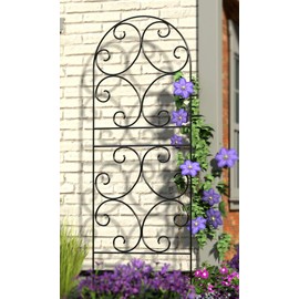 BestNest Panacea 84401 Scroll Trellises, Black, 72" H, Pack of 2
