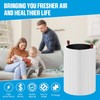 SAKEGDY 47501 47502 Replacement Filter Compatible with Nuwave Oxypure Air