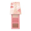 Essence Bloom Baby, Bloom! Eye &amp; Face Palette 02 Bloom