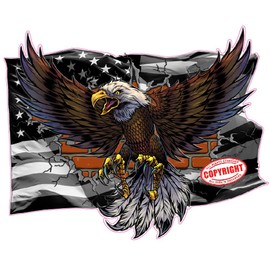Black American Flag Bald Eagle Brick Wall Decal Sticker (48" x 40 lamunated)