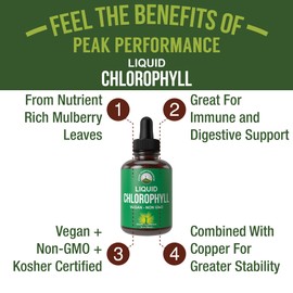 Chlorophyll Liquid Drops - Ultra High Purity, Alcohol Free, Non-GMO, Gluten Free Liquid Chlorophyll Drops Supplement. Take With Water. Internal Deodorant + Skin Care, Immune, and Digestive Support