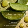 RAW SUGAR, Body Wash Green Tea Aloe Soother, Gel de