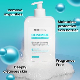 Face Facts Ceramide Blemish Clarifying Foaming Cleanser | Cleanses + Strengthens | 400ml