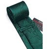 HISDERN Men's Tie Wedding Paisley Ties Handkerchief Flowers Elegant Classic
