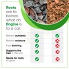 Bonsai Soil Mix by Tinyroots - All Purpose Bonsai Soil