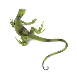 Toob Green Iguana Baby, Multi