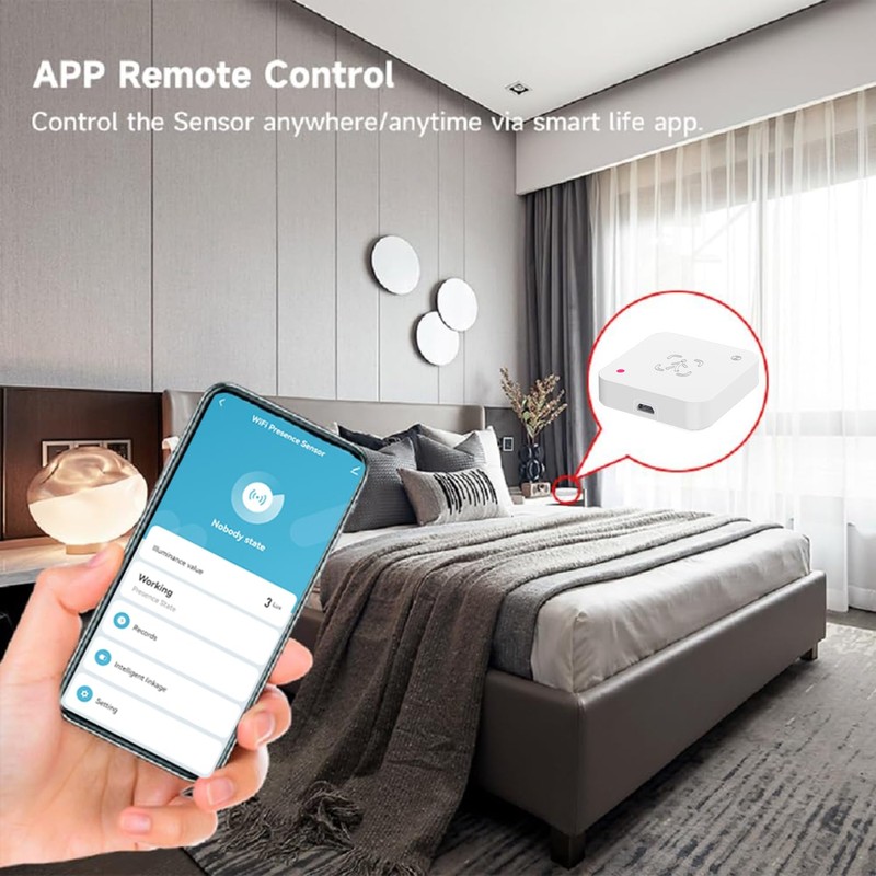 WiFi Sensor for Human Presence: 2.4GHz mmWave Radar Smart Motion