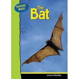 The Bat (Nature Walk)
