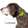 Buckle Down 15-26" Caution Yellow/Black Dog Collar Bone, Large