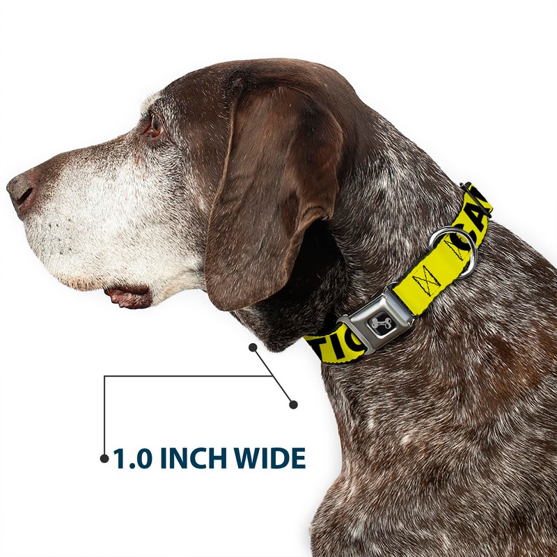 Buckle Down 15-26" Caution Yellow/Black Dog Collar Bone, Large