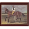 Lady Clare Traditional Coasters Racehorses