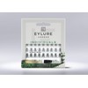 Eylure Individual Cluster Lashes Duos & Trios