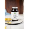 bioKontor Organic Milk Thistle Oil Capsules Vegan 180 Pieces -